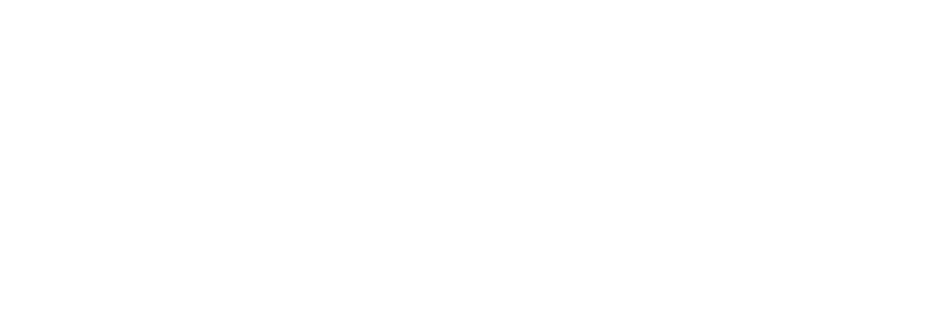 Hub Nogueira